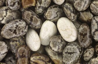 Proteína Chia – Suplementos em Revisão