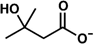 HMB para perda de gordura - suplementos em revisão