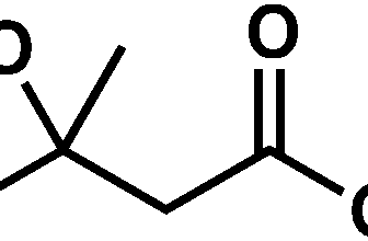 HMB para perda de gordura - suplementos em revisão