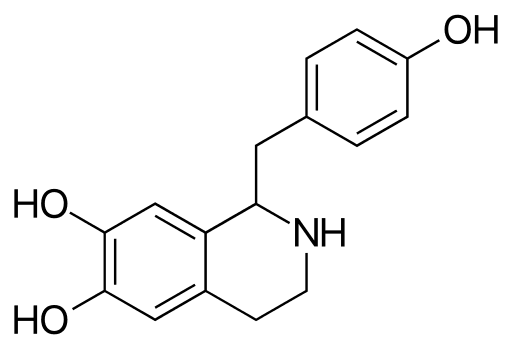 Higenamina para perda de gordura – suplementos em revisão