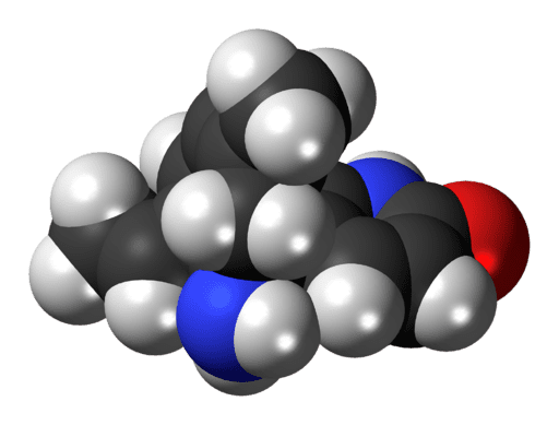 Por que os carboidratos são necessários para o desempenho humano