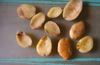 Manga Africana para Perda de Gordura