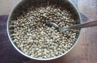 Hemp seed. By Kurt Stüber [GFDL], via Wikimedia Commons