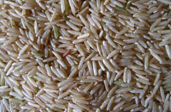 supplementss+ins+review),